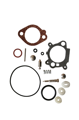 Kit carburateur pour BRIGGS & STRATTON 498260, 493762