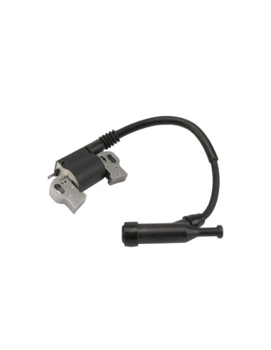 Bobine d'Allumage Briggs &amp; Stratton 797769