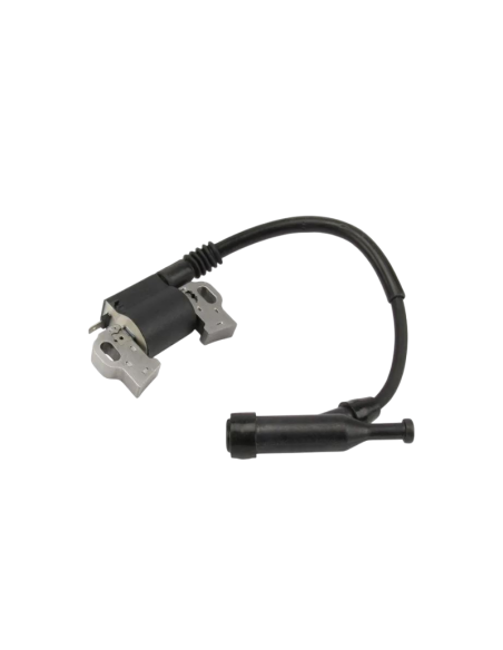 Bobine d'Allumage Briggs &amp; Stratton 797769