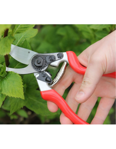Sécateur 21.5cm, rouge