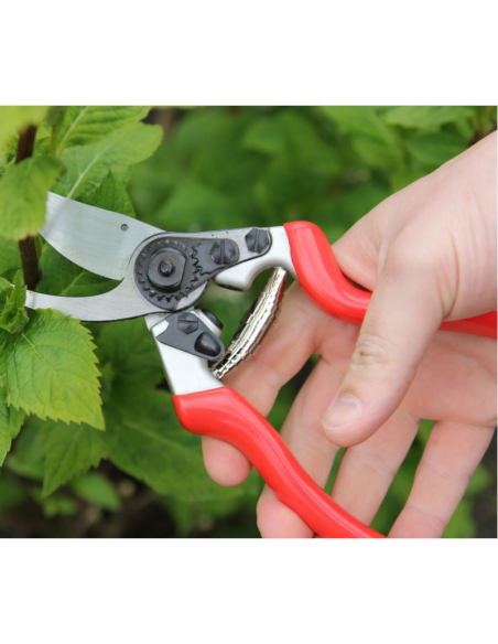 Sécateur 21.5cm, rouge