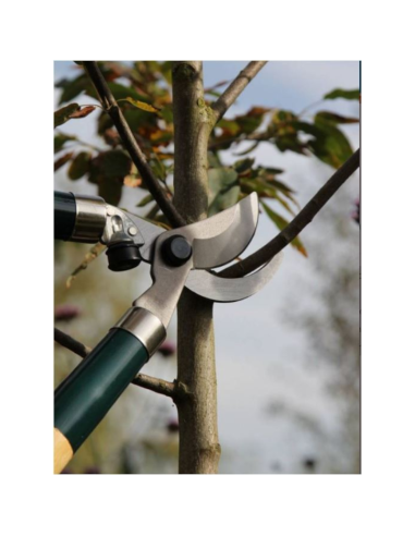 Élagueur METALLO 70cm, manche bois