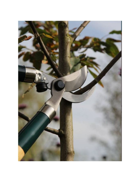 Élagueur METALLO 70cm, manche bois