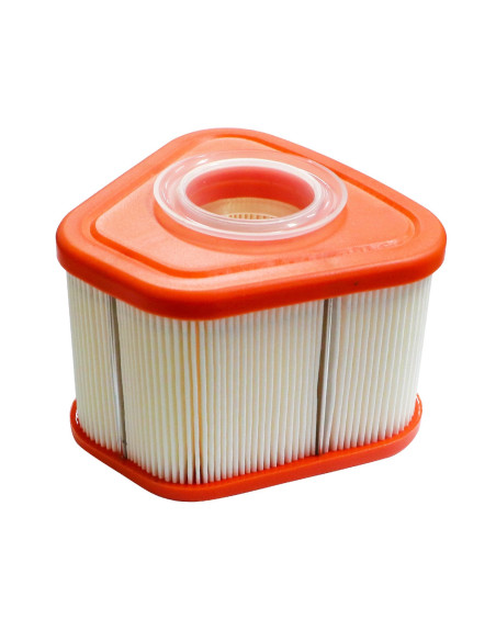 Filtre à air Briggs &amp; Stratton Rempl. 595853 - 597265 pour 115P