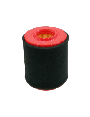 Filtre pour moteur MTD OHV 547cc type 4X90HU Ref. 737-05066