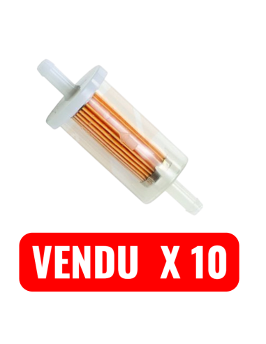 Filtre essence pour BRIGGS &amp; STRATTON 695666
