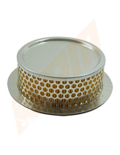 Filtre à air pour Moteur Bernard 20062 pour BM4 - BM5