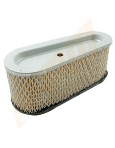 Filtre à air pour BRIGGS &amp; STRATTON 493909 - 496894