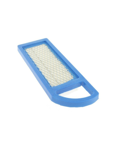 Filtre à air pour BRIGGS &amp; STRATTON 697634, 698083, 695547, 795115