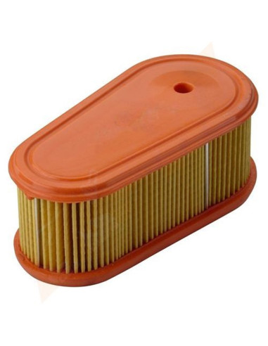 Filtre à air pour BRIGGS &amp; STRATTON  795066 pour DOV 850