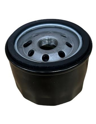 Filtre à huile pour BRIGGS &amp; STRATTON 492932, 842921, 492056