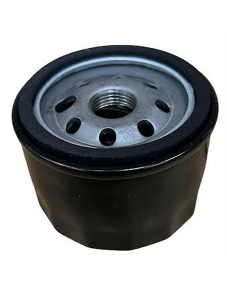 Filtre à huile pour BRIGGS &amp; STRATTON 492932, 842921, 492056