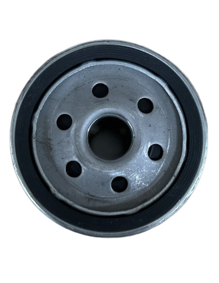Filtre à huile pour BRIGGS &amp; STRATTON 491056 KOLHER 5205002