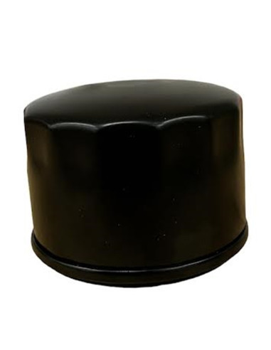 Filtre à huile pour BRIGGS &amp; STRATTON 492932, 842921, 492056