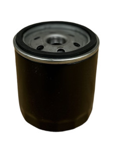 Filtre à huile pour BRIGGS &amp; STRATTON 491056 KOLHER 5205002 2