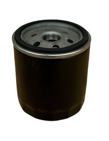Filtre à huile pour BRIGGS &amp; STRATTON 491056 KOLHER 5205002