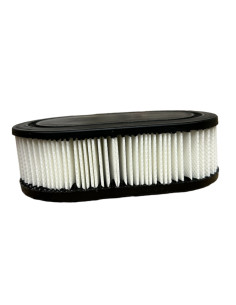 Filtre à air moteur pour BRIGGS et STRATTON  798452 - 593260