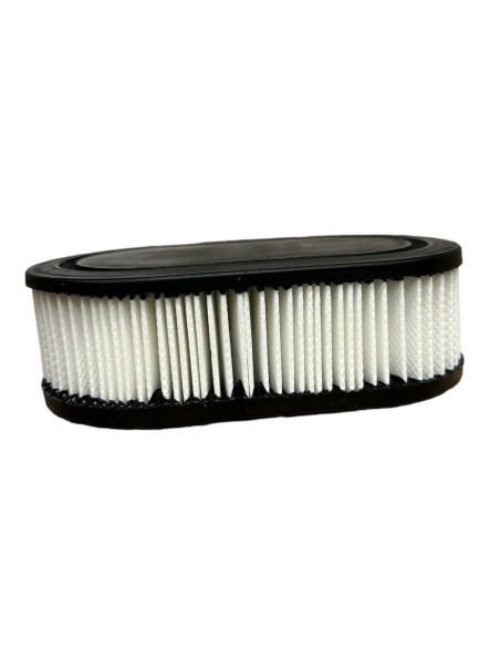 Filtre à air moteur pour BRIGGS et STRATTON  798452 - 593260