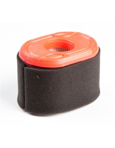 Filtre à air BRIGGS &amp; STRATTON 796970