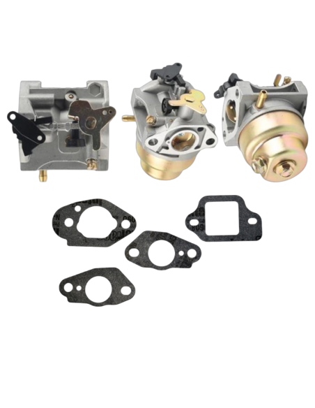 Carburateur pour Honda GCV135-GCV160 avec les 4 Joints fournis