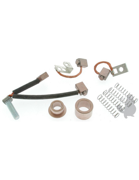 Charbons de démarreur pour Briggs & Stratton 395538