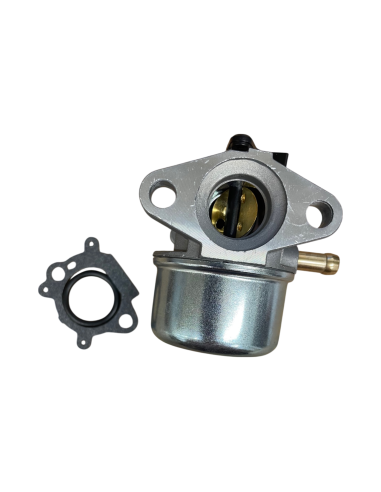 Carburateur pour BRIGGS &amp; STRATTON 498170, 496114, 799868, 698444