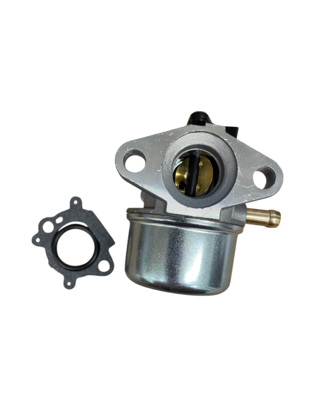 Carburateur pour BRIGGS &amp; STRATTON 498170, 496114, 799868, 698444