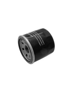 Filtre à huile Loncin LC150350046 pour LC1P92F-LC2P77F - 3/4"
