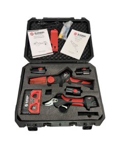 Kit PS22-23 + CS22-04 sécateur + scie Blue Bird