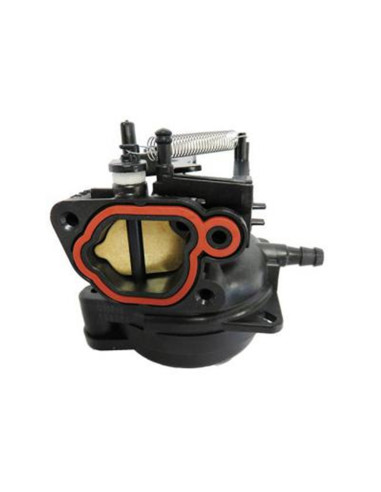 Carburateur Briggs &amp; Stratton 591109 - 799584