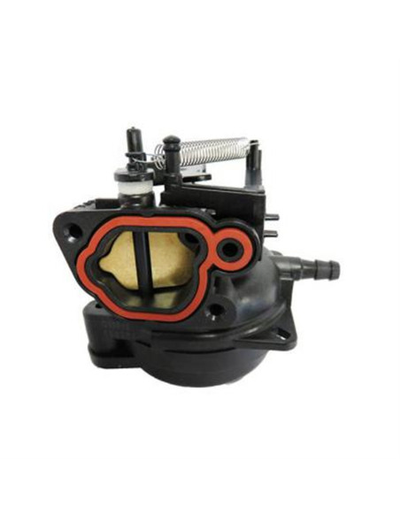 Carburateur Briggs &amp; Stratton 591109 - 799584