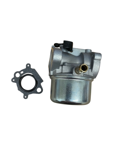 Carburateur pour BRIGGS &amp; STRATTON 498170, 496114, 799868, 698444