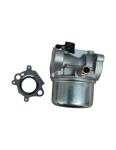 Carburateur pour BRIGGS &amp; STRATTON 498170, 496114, 799868, 698444