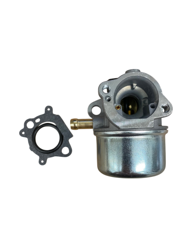Carburateur pour BRIGGS &amp; STRATTON 498170, 496114, 799868, 698444