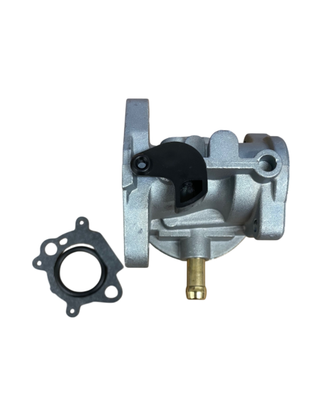 Carburateur pour BRIGGS &amp; STRATTON 498170, 496114, 799868, 698444