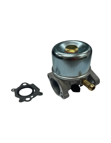 Carburateur pour BRIGGS &amp; STRATTON 498170, 496114, 799868, 698444