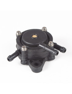Pompe essence pour Briggs &amp; Stratton 808656 - 491922