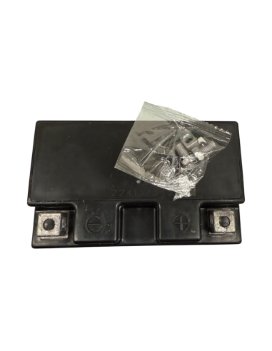 Batterie Tondeuse Autoportée Mc Culloch 12V - 6Ah