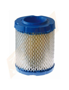 Filtre à air Moteur BRIGGS &amp; STRATTON 796032, 591583