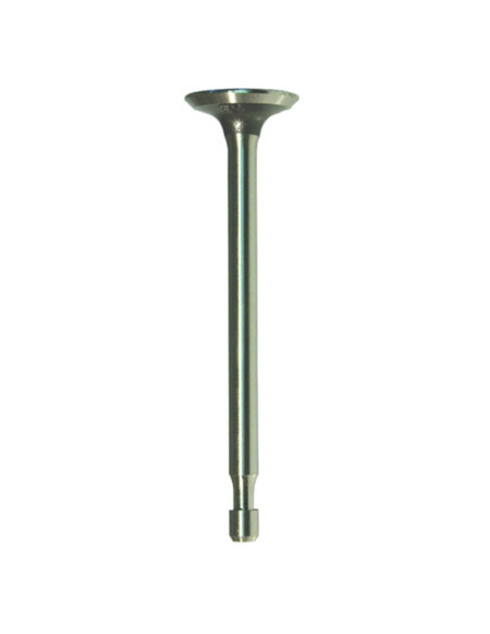 Soupape échappement pour BRIGGS &amp; STRATTON 262651