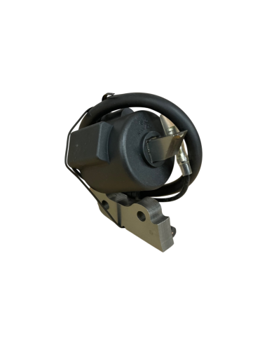 Bobine d'allumage pour Robin EY20D