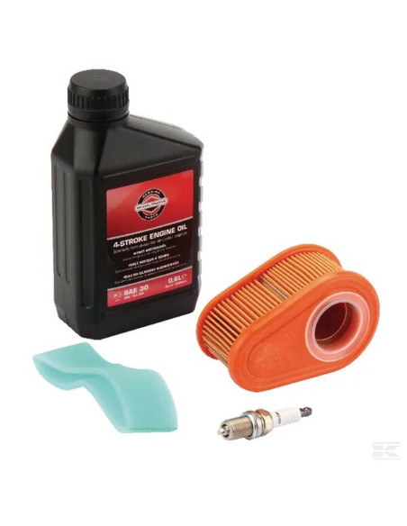 Kit entretien moteur Briggs &amp; Stratton série 700, 750 DOV - 992234