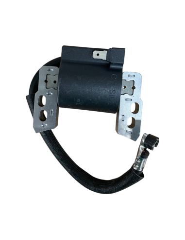 Bobine d'allumage pour Briggs &amp; Stratton 802574-493237-492416- 695711