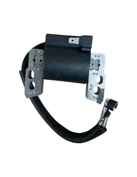Bobine d'allumage pour Briggs &amp; Stratton 802574-493237-492416- 695711