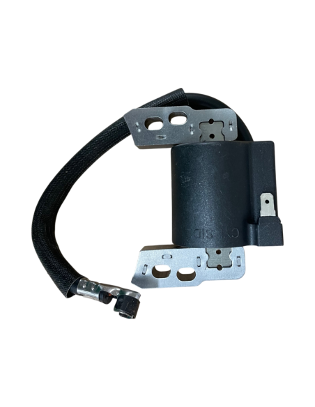 Bobine d'allumage pour Briggs &amp; Stratton 802574-493237-492416- 695711