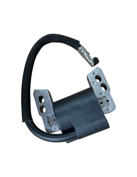 Bobine d'allumage pour Briggs &amp; Stratton 802574-493237-492416- 695711