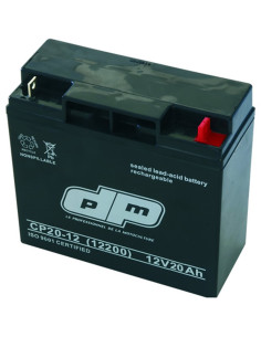 Batterie Tracteur Tondeuse Autoportée NH1220 pour GGP Castelgarden