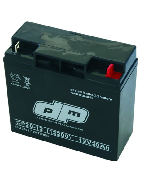 Batterie Tracteur Tondeuse Autoportée NH1220 pour GGP Castelgarden
