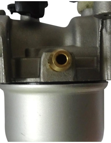 Carburateur pour Briggs & Stratton 799866,...