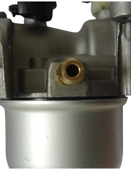 Carburateur pour Briggs & Stratton 799866, 799871, 790845, 794304